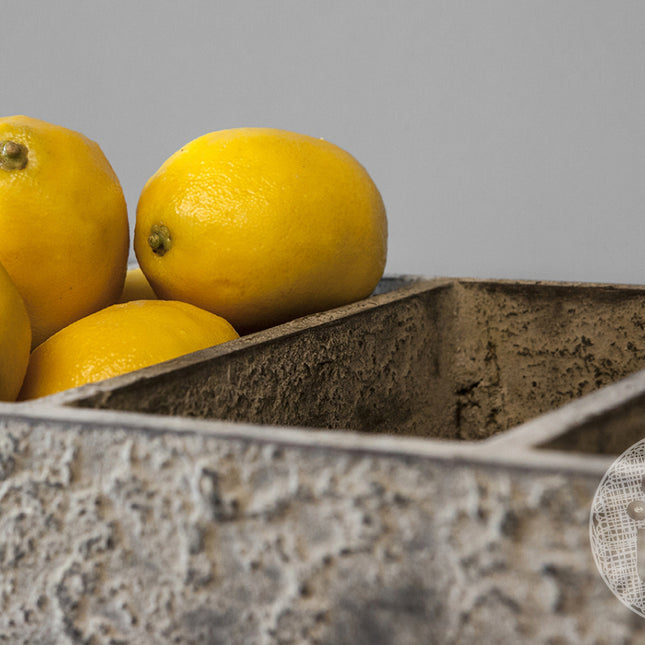 Be-Uniq 3-vaks Tray - Dille