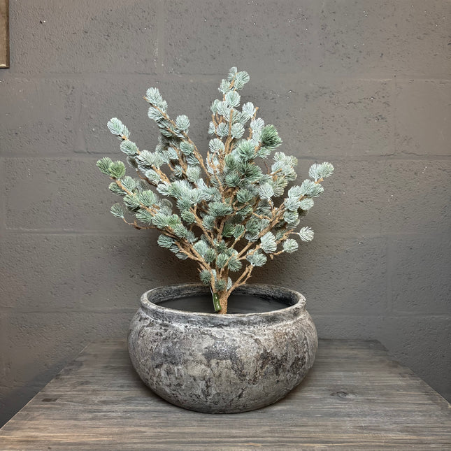 BRYNXZ Larix boom – 80 cm