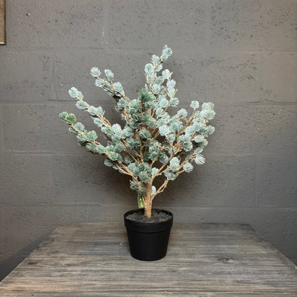 BRYNXZ Larix boom – 80 cm