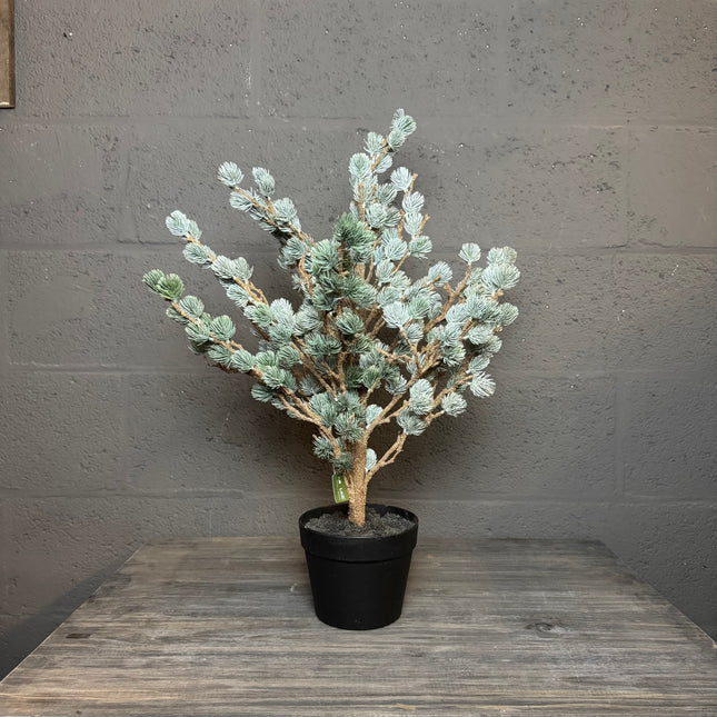 BRYNXZ Larix boom – 80 cm